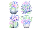 Watercolor Succulent Clipart, an Illustration by Designworld (Thumbnail 4 of 4)