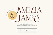 Sunroll - Modern Elegant Serif, a Serif Font by HansCo Studio (Thumbnail 8 of 14)