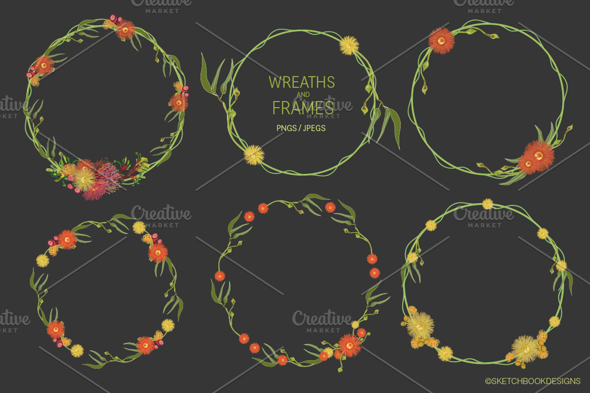 Australian Wild Flowers Collection, an Illustration by Sketchbook Designs (Photo 4 of 10)