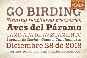 Pueblito Font Family