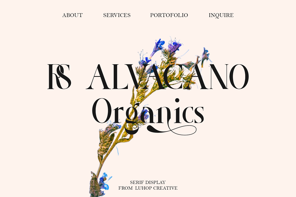 Roland Bryon Display, a Serif Font by LuhopCreative (Photo 9 of 18)