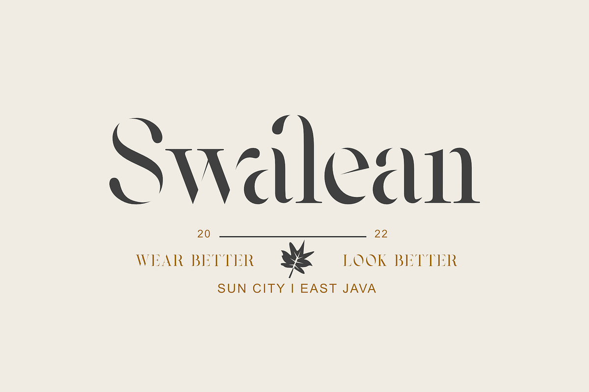 Vasmook, a Serif Font by Sealoung (Photo 11 of 15)