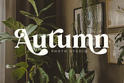 Thimble Village - Serif Display Font, a Serif Font by Shakira Studio (Thumbnail 3 of 10)