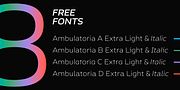 Ambulatoria B, a Sans Serif Font by Pepper Type (Thumbnail 15 of 15)