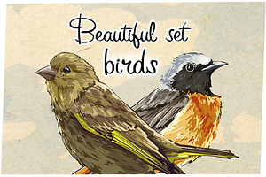Beautiful Birds.