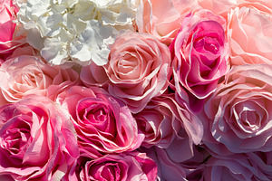 Close-up of soft pink and white artificial roses with delicate t, a Nature Photo by Ales Munt