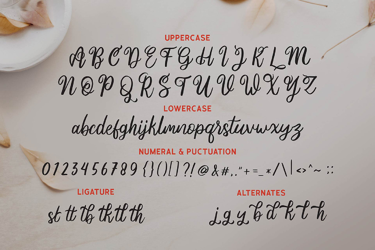 Ania Gamelia - Handlettering Script preview 3