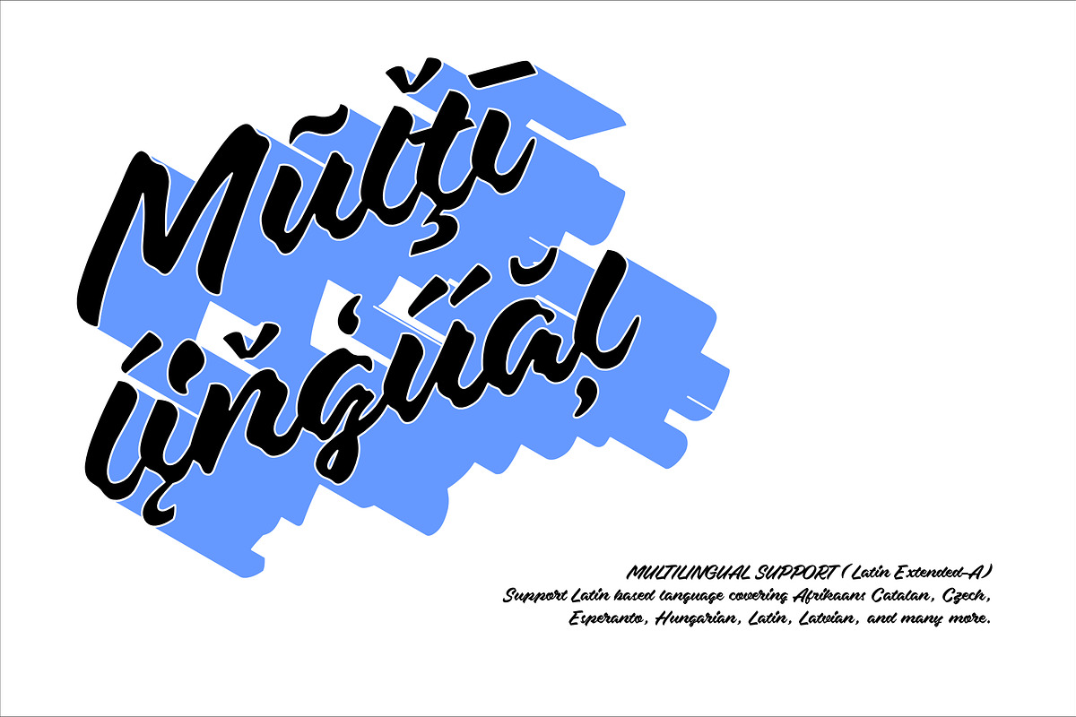 Chiba Script Font, a Script Font by Brainware Graphic (Photo 6 of 9)