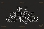 TAN - The Whistling, a Serif Font by TanType (Thumbnail 9 of 35)