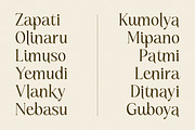 Kiprhany Modern Serif Font, a Serif Font by Letterena Studios (Thumbnail 11 of 15)