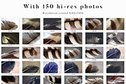 Feather Toolkit - Photos & Graphics, a Mockup by Cruzine (Thumbnail 6 of 9)