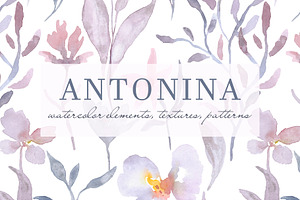 ANTONINA watercolor