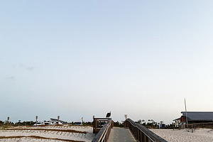 Boardwalk to a Florida Pensacola Beach at Dusk with a Seabird perched on the ra, a Nature Photo by AS photostudio