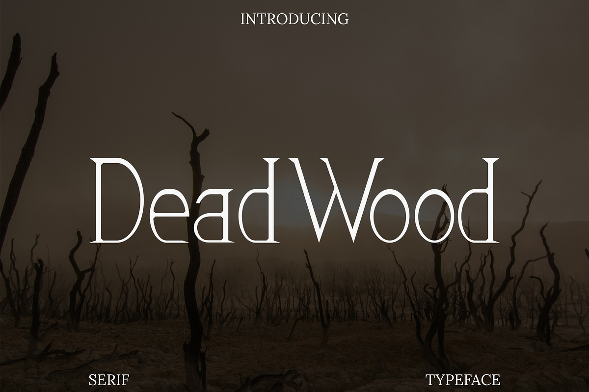 Dead Wood Serif Typeface, a Serif Font by infernostudio3 (Photo 1 of 10)