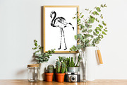 Birds set vector. Silhouette images, an Animal Illustration by AnastasiyaOleynik (Thumbnail 3 of 8)