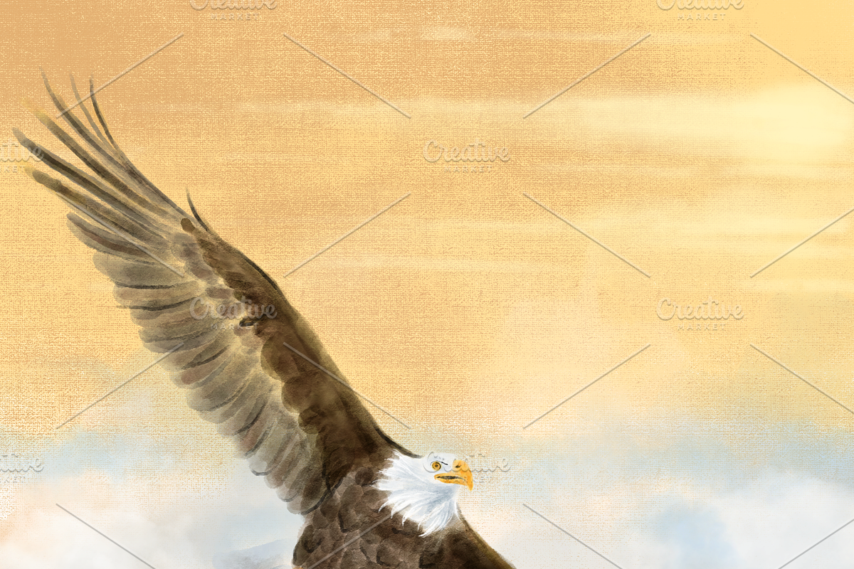 A majestic bald eagle, an Illustration by AMMi