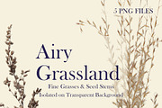 Airy Grassland — Fine Grasses & Seed, an Object Graphic by Aga Silva (Thumbnail 2 of 5)
