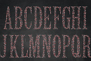 Floral Alphabet, a Decorative Illustration by StudioDesset (Thumbnail 3 of 4)
