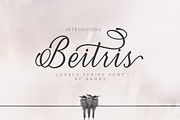 Beitris Script, a Script Font by banks (Thumbnail 15 of 15)