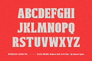 Black Bolder - Modern Serif Font, a Serif Font by HanzelSpace Studio (Thumbnail 8 of 10)