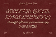 Cherry Merlot Vintage Ink Script, a Script Font by AnMark (Thumbnail 7 of 16)