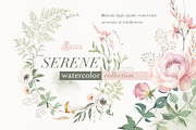 Serene. Watercolor Collection, an Illustration by OctopusArtis (Thumbnail 1 of 7)