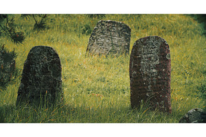 Old ancient Jewish cemetery in, an Architecture Photo by Our Amazing World