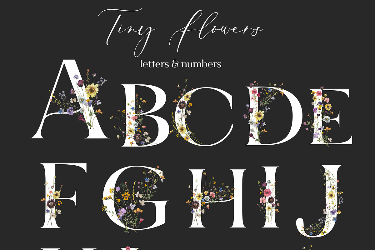 Tiny Flowers Pressed Floral Clipart, an Illustration by whiteheartdesign (Photo 9 of 17)