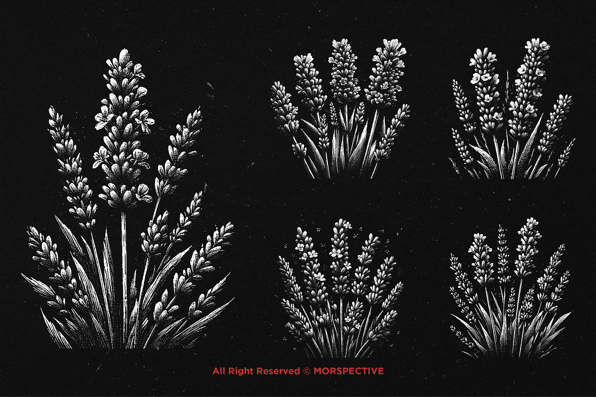 10 Bundle Dark Art Lavender Flower, an Illustration by Morspective (Photo 3 of 7)