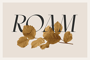 Montgrove - Ligature Serif Font, a Sans Serif Font by Surplus Type Co (Thumbnail 11 of 11)