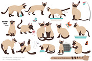 Cartoon cats clipart set, an Animal Illustration by pet design shop (Thumbnail 6 of 12)