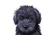 Poodle Cross Breeds 27 Dogs/Puppies, an Animal Illustration by Dneprstock (Thumbnail 17 of 27)