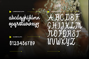 Oishu Taveny -Brush Handwritten Font, a Handwritten Font by Dhabee (Thumbnail 7 of 12)