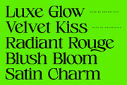 Cerlog  A Modern Serif Display Font, a Font by AmorfaType (Thumbnail 2 of 10)