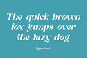 Roman Avenue, a Serif Font by zaaintype (Thumbnail 13 of 14)