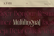 Aqualim Signature - Duo Font, a Serif Font by Burntilldead (Thumbnail 12 of 12)