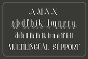 Amelia - Modern Serif Font, a Serif Font by Aqeel_Art (Thumbnail 11 of 12)