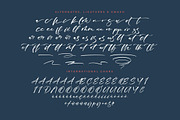 Magnotus Bractea Beautiful Script, a Script Font by Letterena Studios Script (Thumbnail 14 of 15)