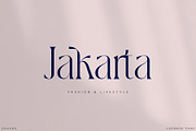 Lafonte Font, a Serif Font by vuuuds (Thumbnail 10 of 13)
