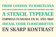 Lewis family, a Font by Thierry Fétiveau (Thumbnail 2 of 5)