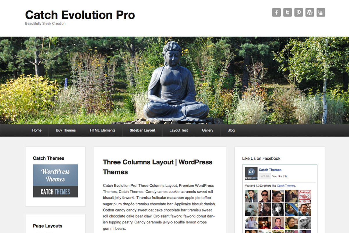 Catch Evolution Pro, a WordPress Template by Catch Themes (Photo 4 of 4)