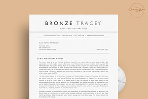 Clean ATS Resume/CV - The Bronze