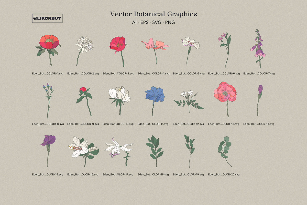 Garden Botanical Illustrations, a Decorative Illustration by likorbut (Photo 3 of 6)