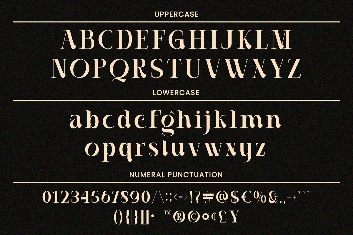 Casthelic - Elegant Serif Typeface, a Serif Font by Dryy.type (Photo 10 of 11)