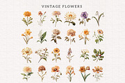 Birth Month Flower Clipart Bundle, an Illustration by PaintPixelCo (Thumbnail 8 of 14)