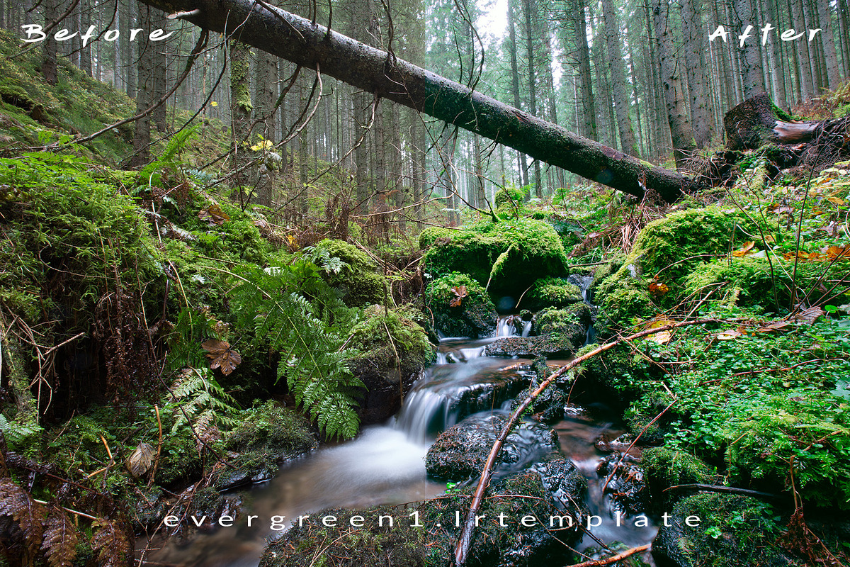 Ever Green 10 Lightroom Presets., an Action Add-On by MorningStar (Photo 7 of 11)