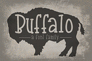 Buffalo- Font Family, a Slab Serif Font by Sabrina Schleiger Design (Thumbnail 1 of 8)