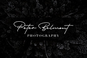 Portrait - A Signature Script, a Script Font by Hustle Supply Co. (Thumbnail 4 of 9)