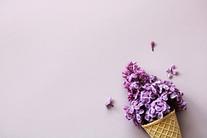 purple lilac in a waffle cone