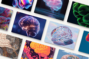 Artistic Human Brain Graphics, an Object Graphic by HipFonts (Thumbnail 2 of 10)